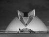 Attack of the Palau des Arts